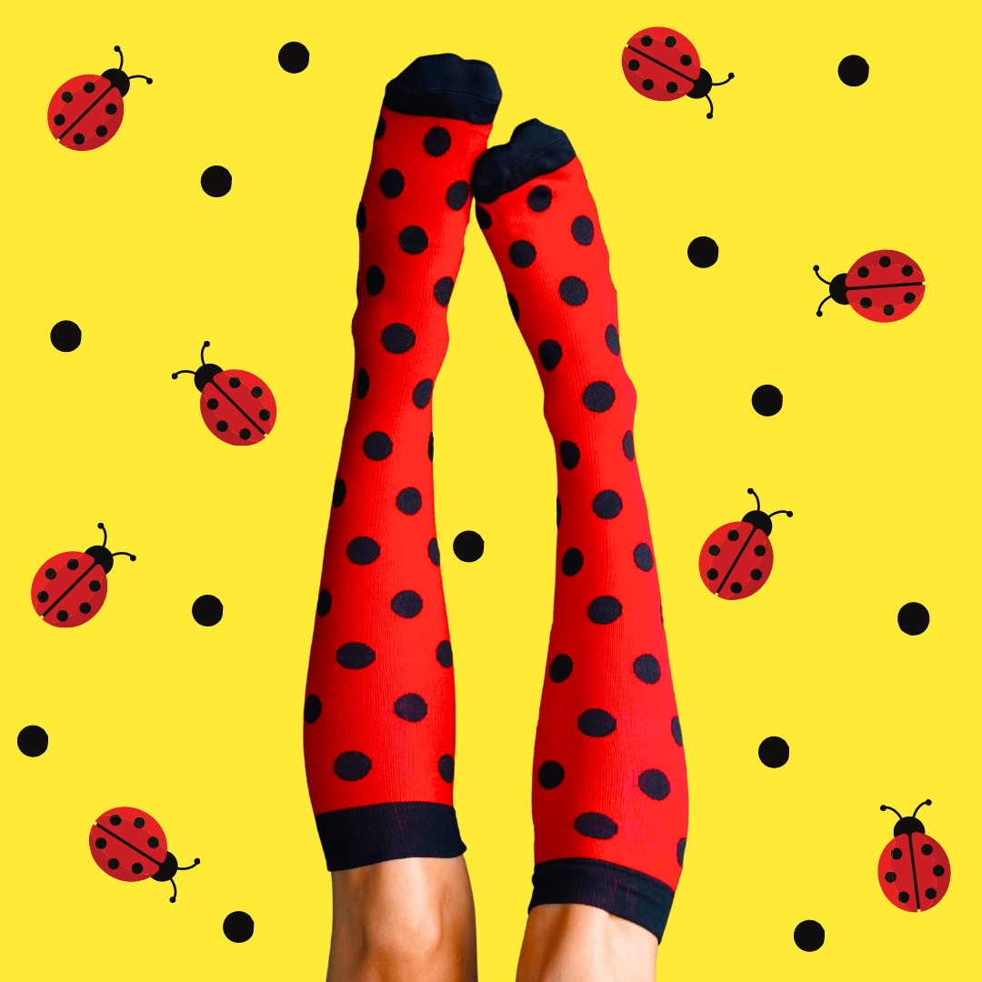 Classic Gift Box 5 Pack V2 Compression Socks